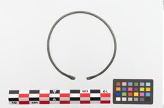 Foto von Bronzearmreif (NHMW-PRAE-023698)